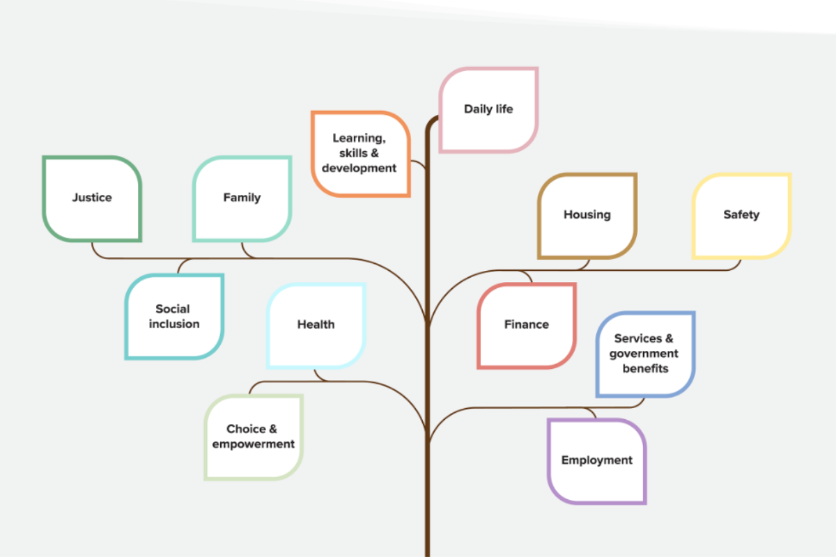 Diagram showing interconnected life domains branching from a central pathway, including daily life, housing, safety, finance, employment, health, social inclusion, family, justice, learning and skills, services and government benefits, and choice and empowerment.